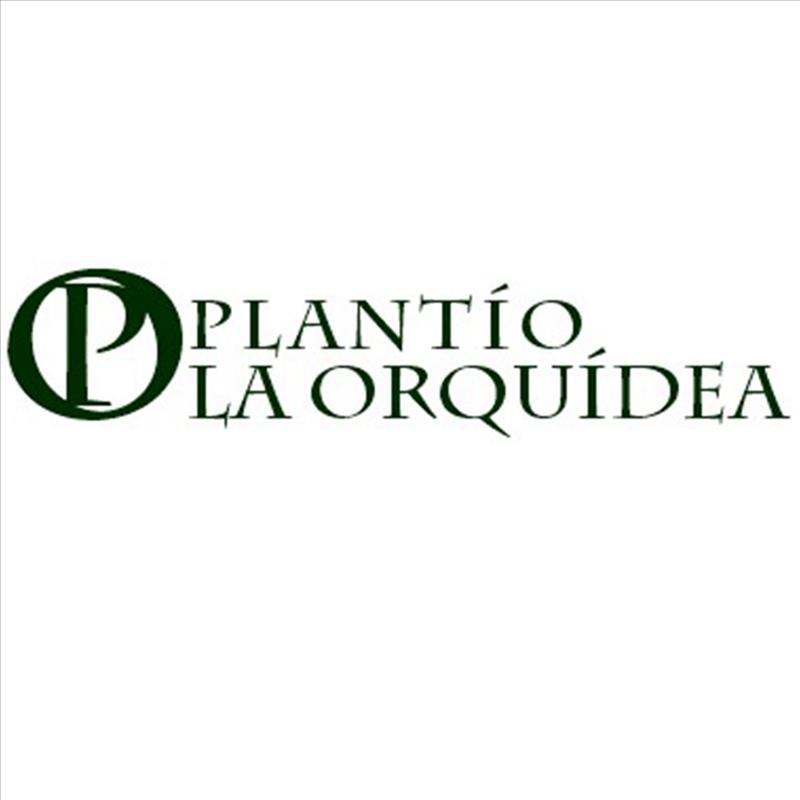 Plantio La Orquidea - Sarasota, FL